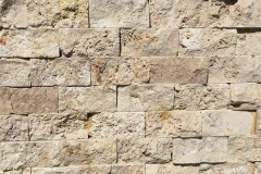 WhatsApp-Image-2024-03-14-at-17.37.15-1